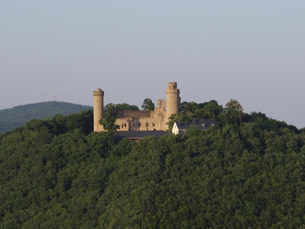 Hotel Garni Zur BergstrasseZwingenberg  エクステリア 写真