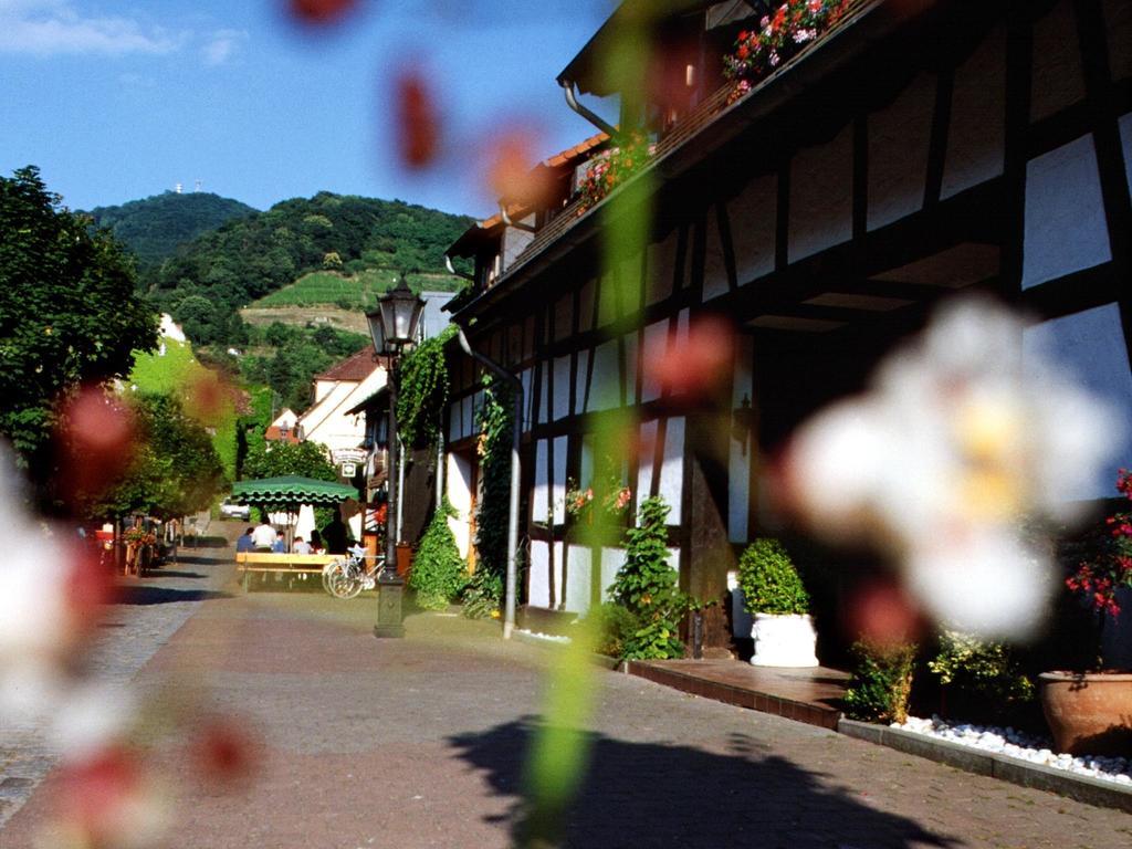 Hotel Garni Zur BergstrasseZwingenberg  エクステリア 写真